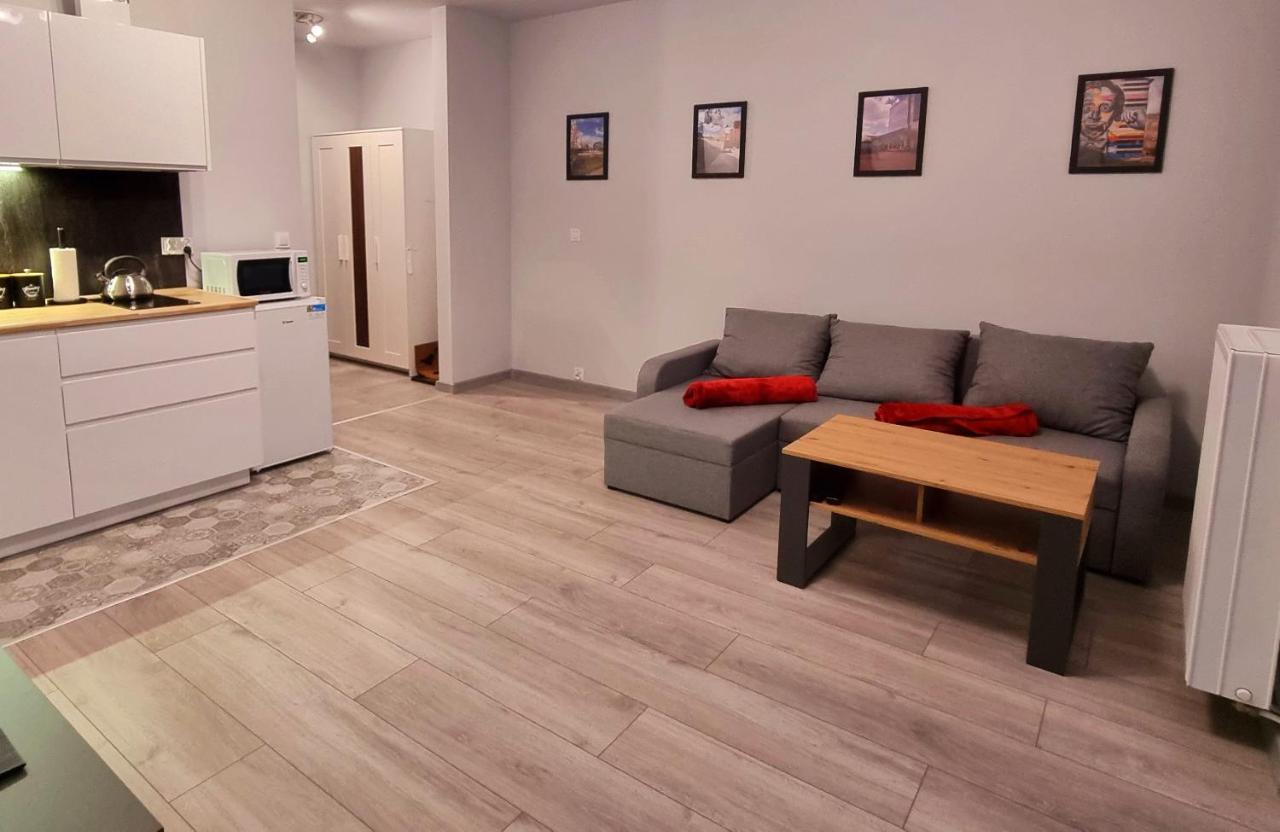 Apartament Kopernika 49 Łódź Dış mekan fotoğraf